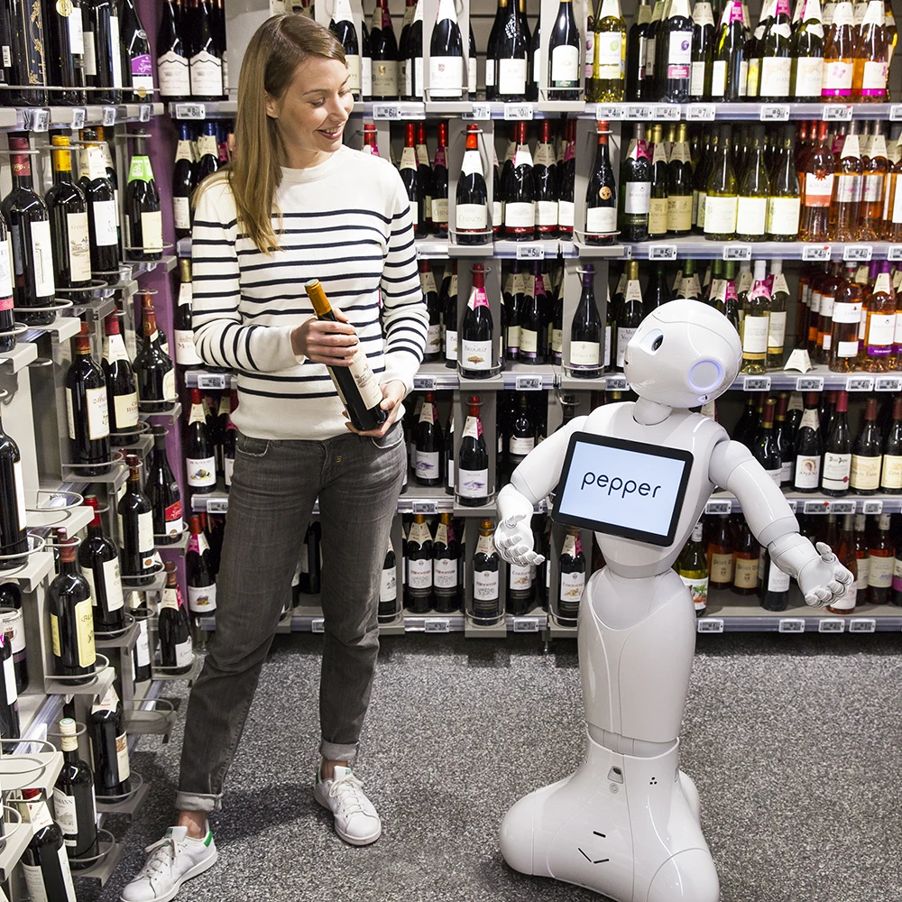 SoftBank Robotics Pepper, Educational Programmable Learning Toys / Tools for Student & Educator, Smart Robot for Teaching