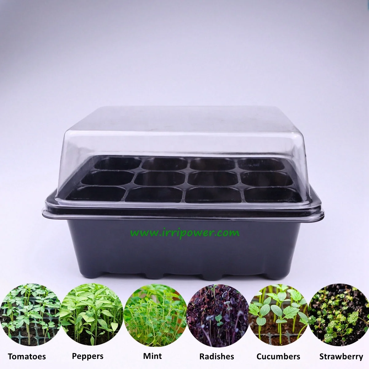 Seed Trays Kit 12 Cells Propagator Germination Tray with Holes Bases and Lids Seedling Tray Plant Grow Kit