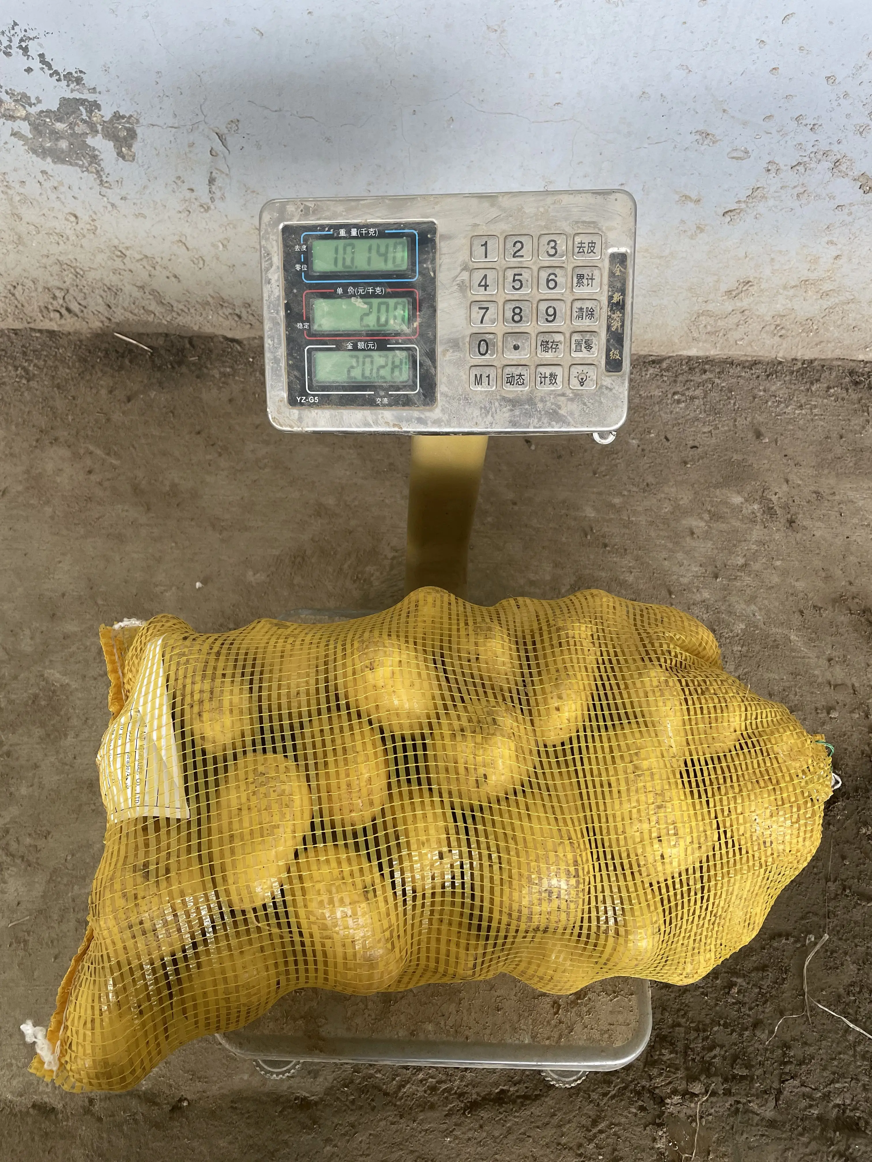 Chinese Fresh Potato Price per ton New Harvest Fresh Potato