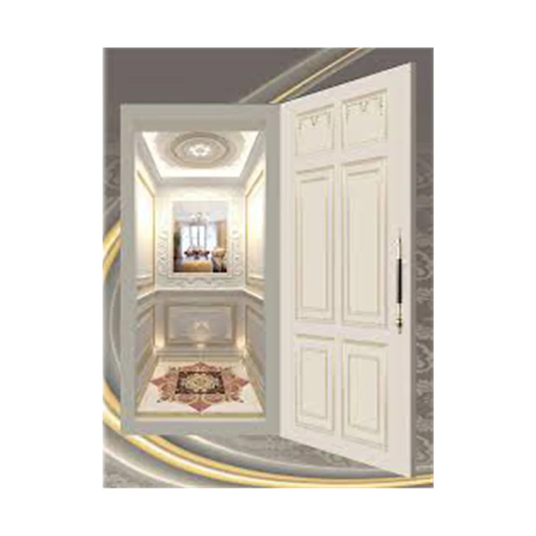 250kg  Small  Villa home  Lift Small  Elevator