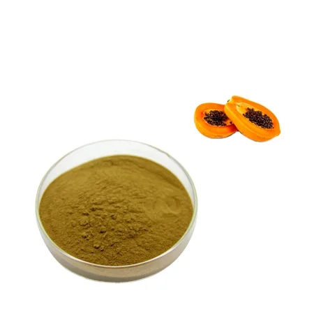 Natural papaya seed extract/papaya extract powder