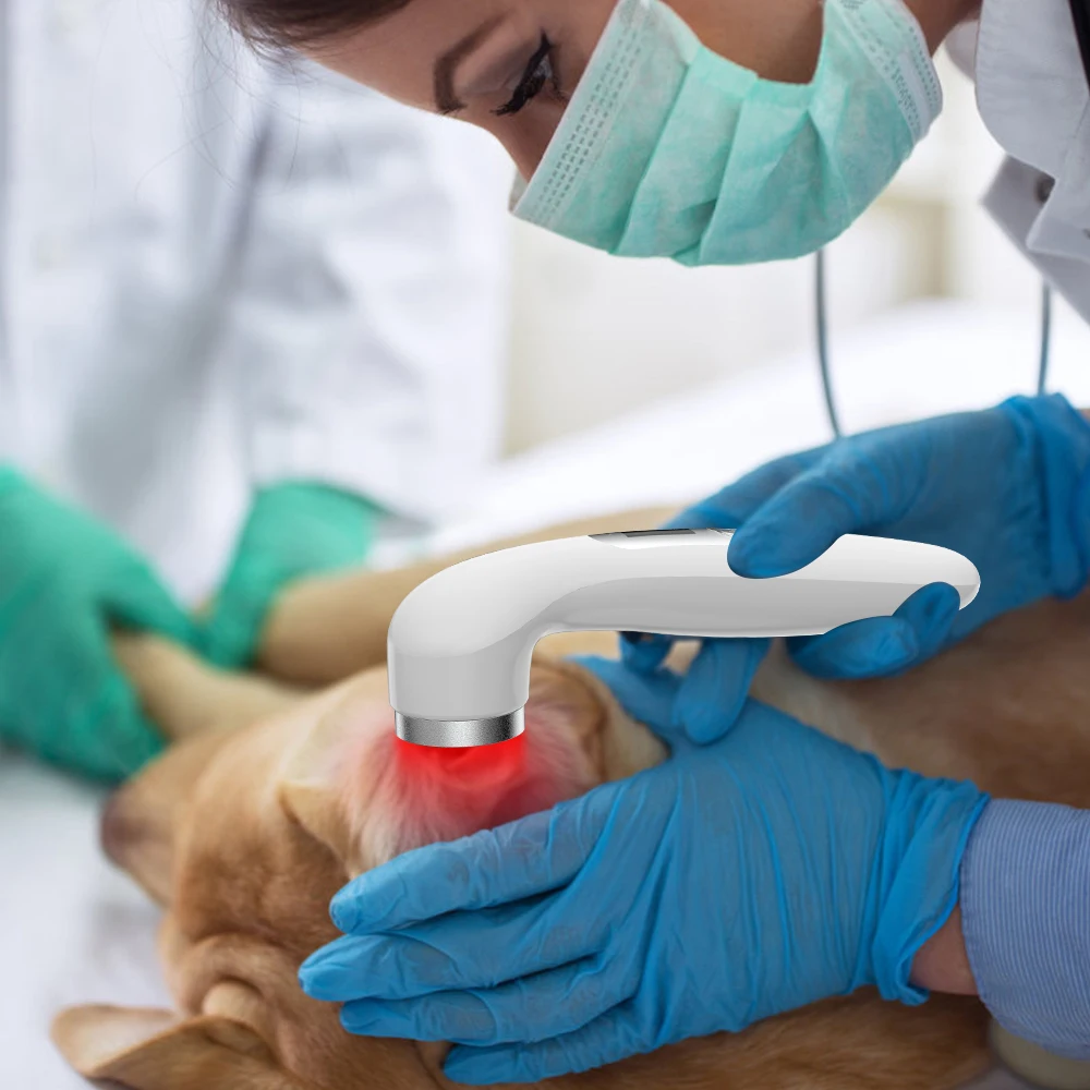 lllt cold laser 650nm 808nm portable laser therapy device class iv pain 2300mw therapy laser for horses dogs human
