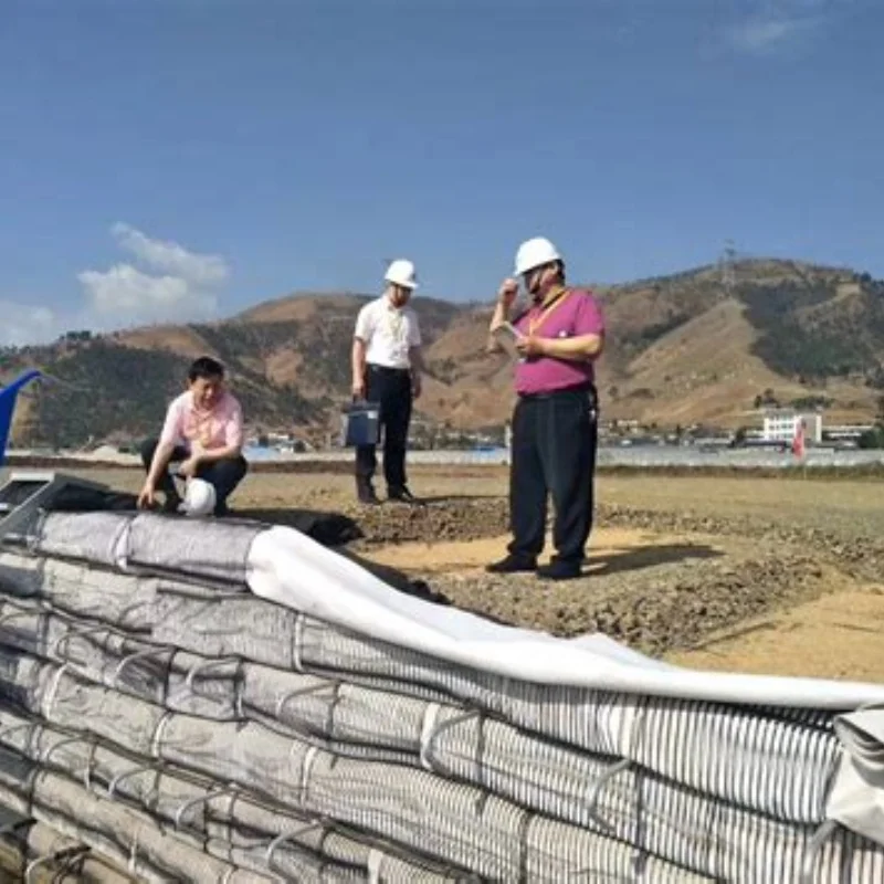 Geogrid Playground Pp Biaxial geogrid Road Roll For Roads And Railways From China