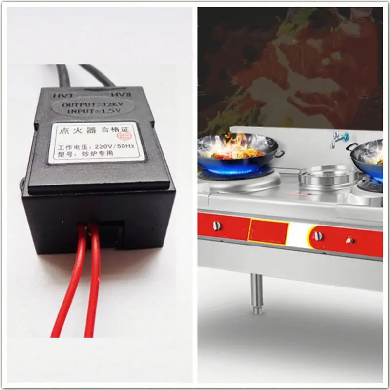 Electric Igniter For Gas Water Heater