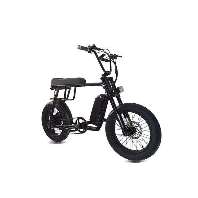 
High quality China powerful ebike 48v 1000W retro electric bicycle making kits with mid Bafang motor 