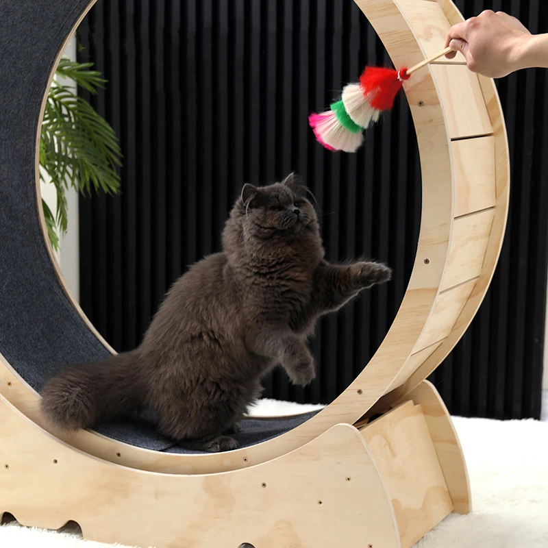 Pet items large size solid wood board silent treadmill cat wheel exercise for cat running