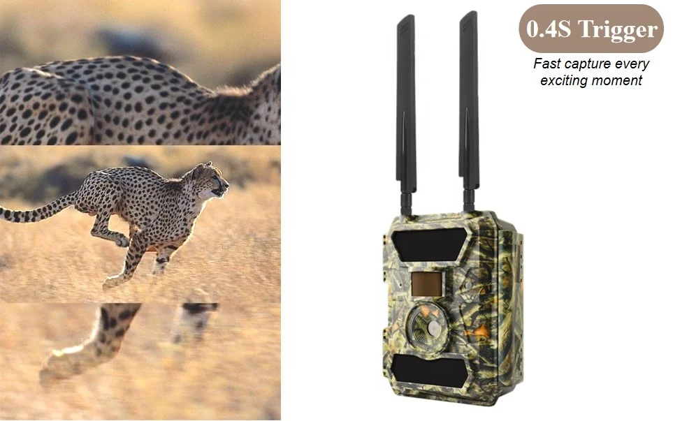 WILLFINE solar 940nm night vision wild life camera 4g 5g lte waterproof hunting trail camera