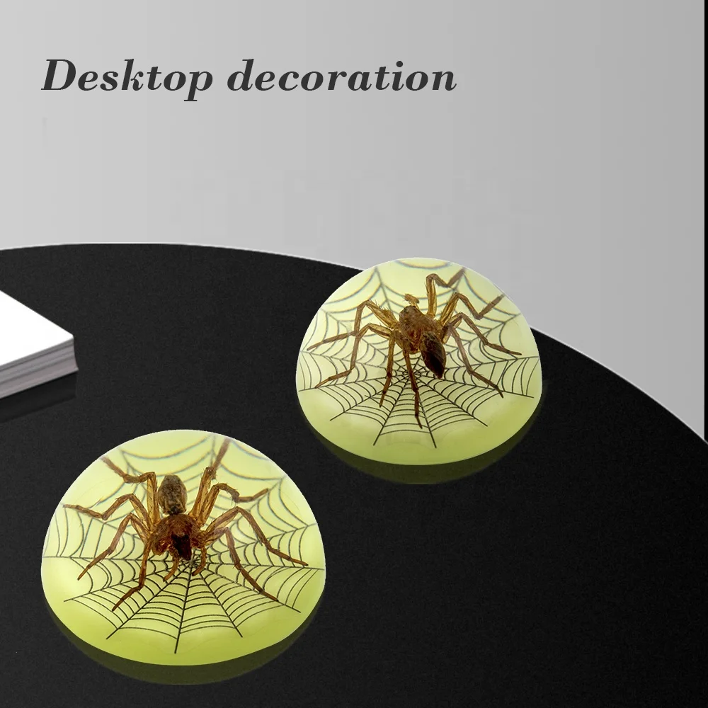 natural real spider insects animals resin desk decor hemisphere dome shape luminous custom ornaments insects resin crafts