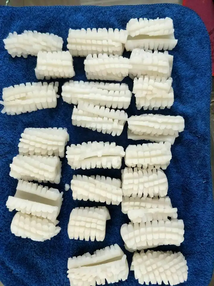 Frozen giant squid Equator squid flower cut