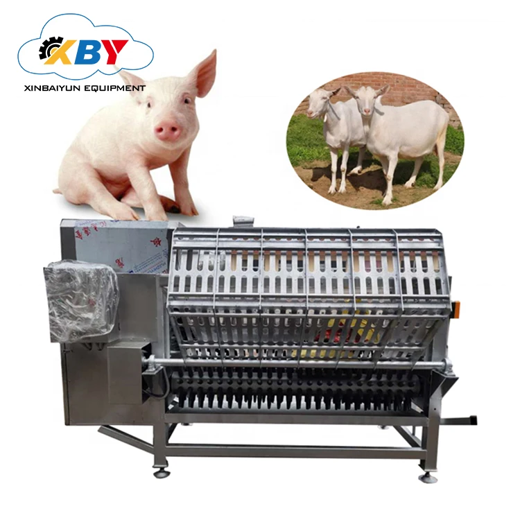 Hog Meat Processing For Hog Slaughterhouse With Abattoir Machine