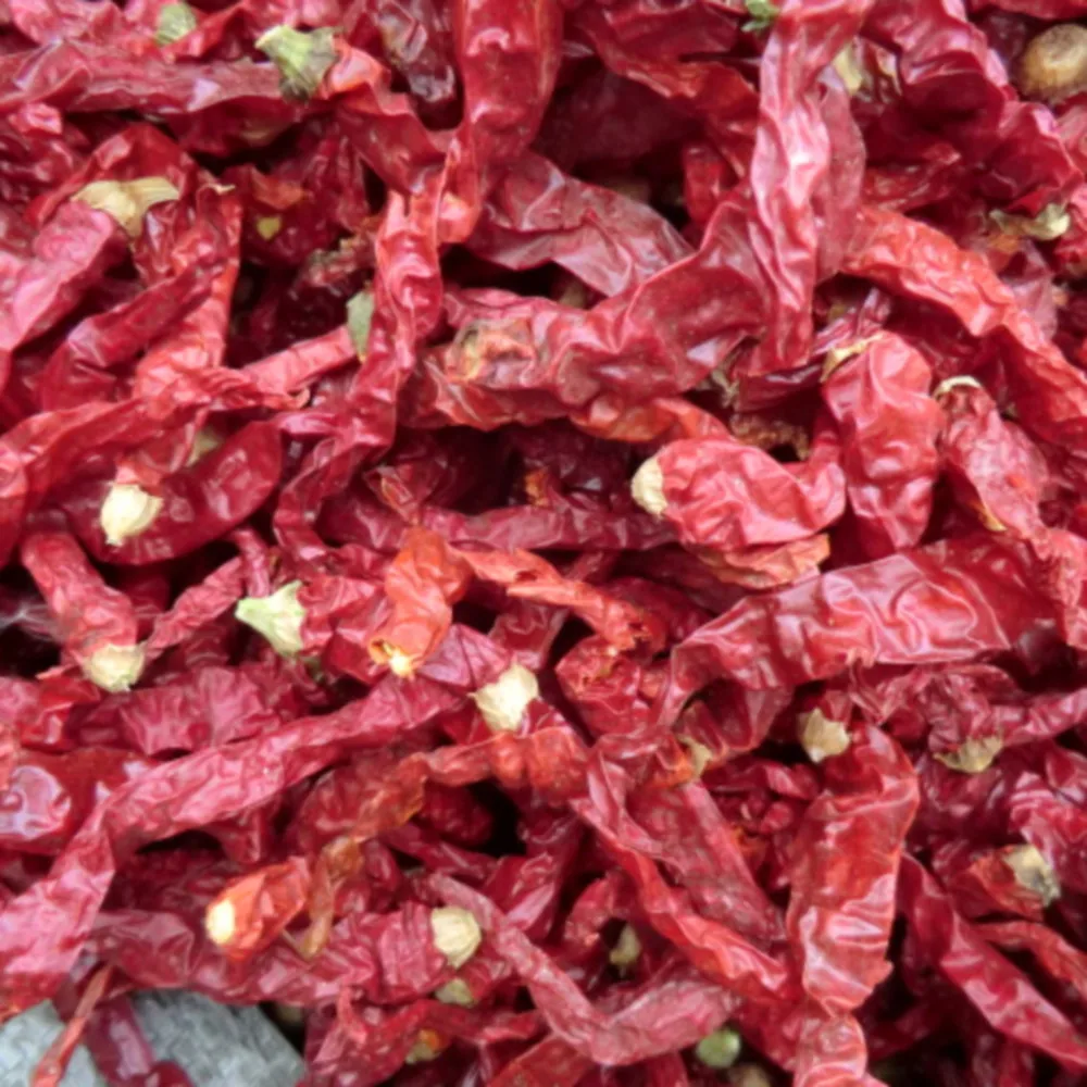 Wholesale Chili Pepper  Manufacturers Delicious Naturelly  Dry  Red Chilli