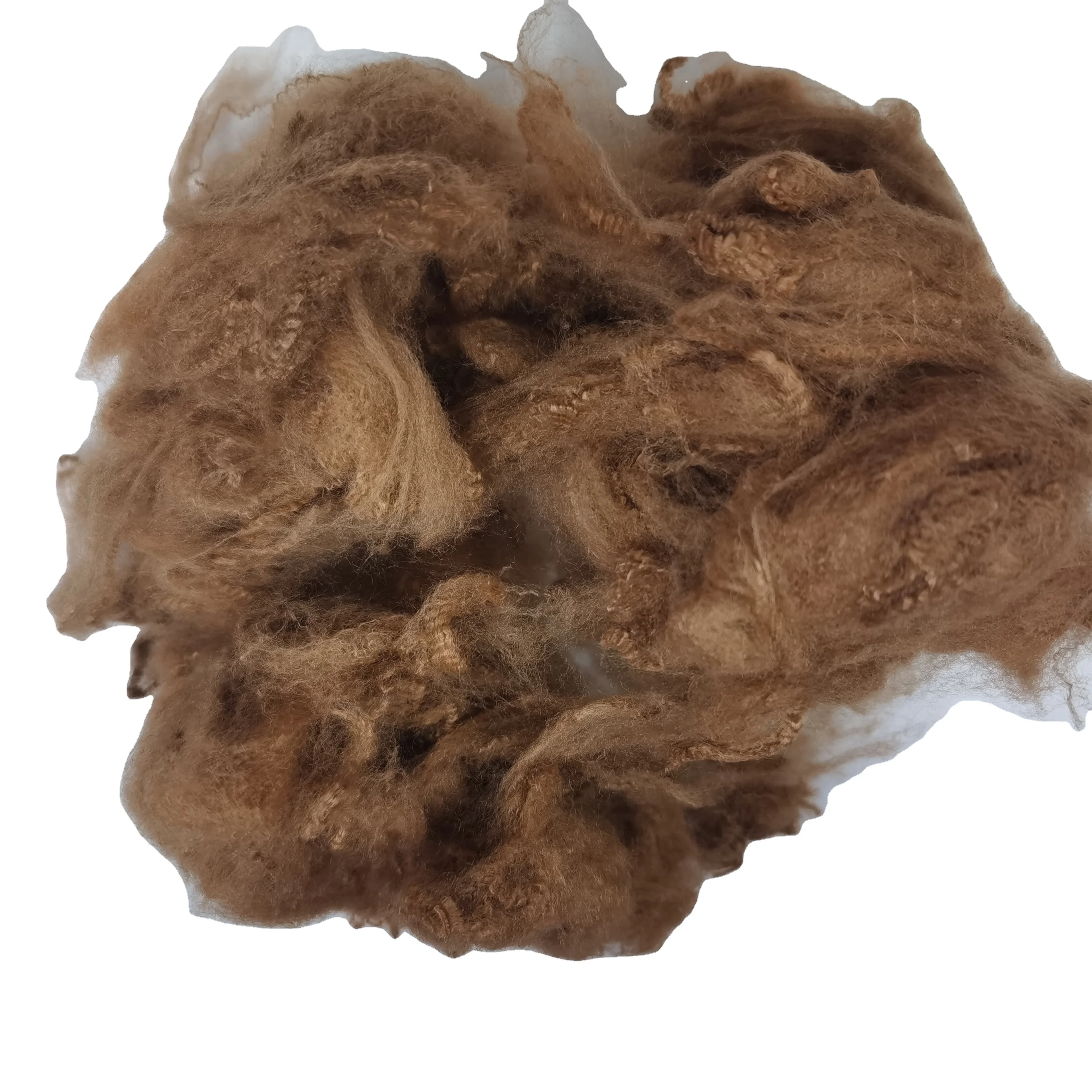 GRS certified Hot sale-dope colors polyester fiber LOW PRICE  3D * 51MM