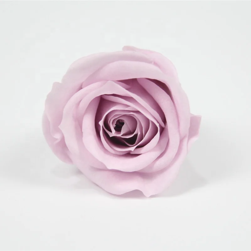 hot sale pink color preserved rose for rose gift box