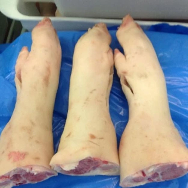 
Frozen Pork Ear / Frozen Pork Feet, Pig Feet / Frozen Pork Front Feet for sale 
