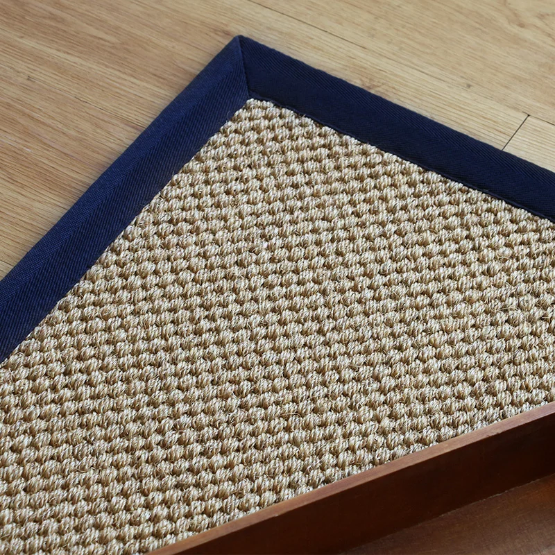 Indoor Hallway Entryway Livingroom Accent Sisal Carpet