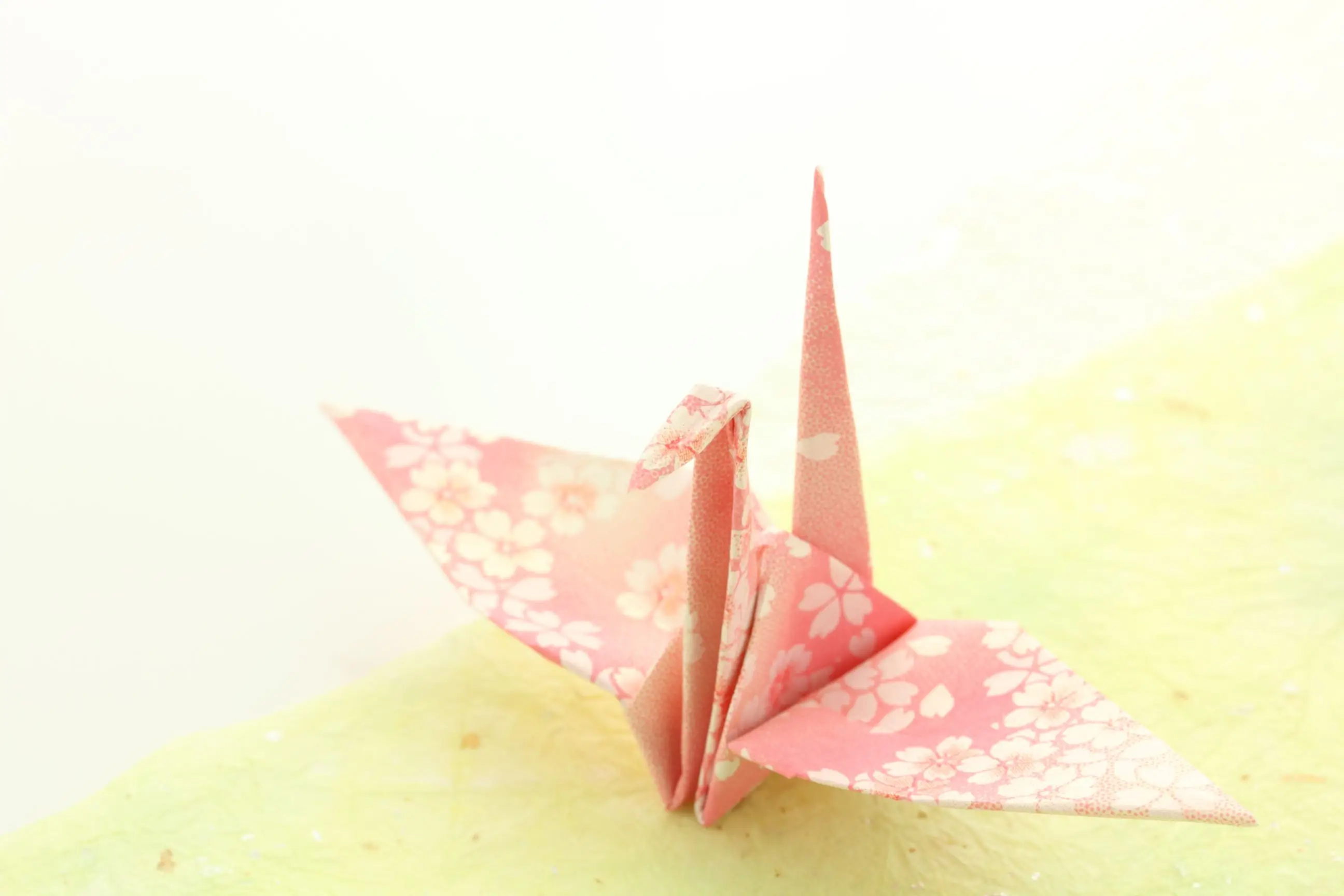 
Square Create Various Shapes Paper Origami Paper Crane For Kids 
