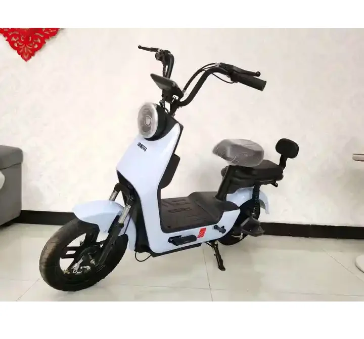 Electric bicycle factory Direct selling Long Distance digital meter electric bicycles for men