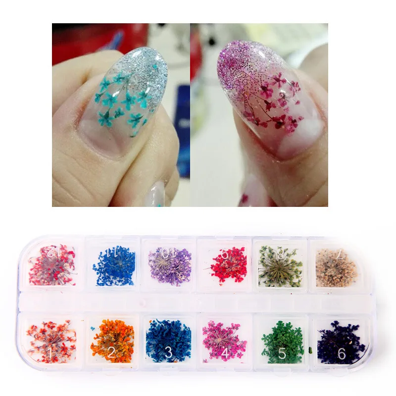 12pcs/box 3d diy dried flowers nail art decorations real dried flower stickers manicure charms designs for nails accessories