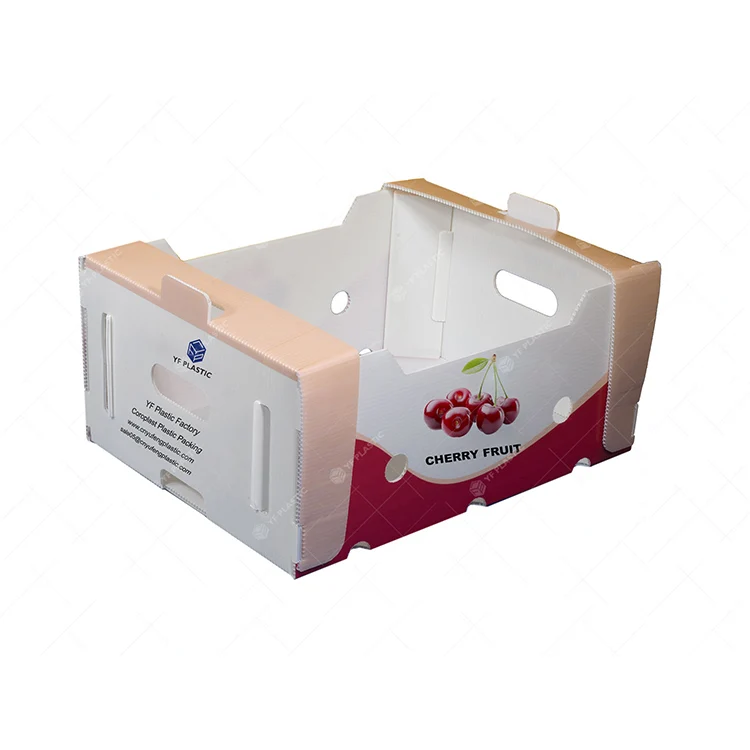 Stackable PP Packing Box Custom Coreflute Corrugated Cherry Picking Fresh Kiwi and Cherry Boxes For Harvest