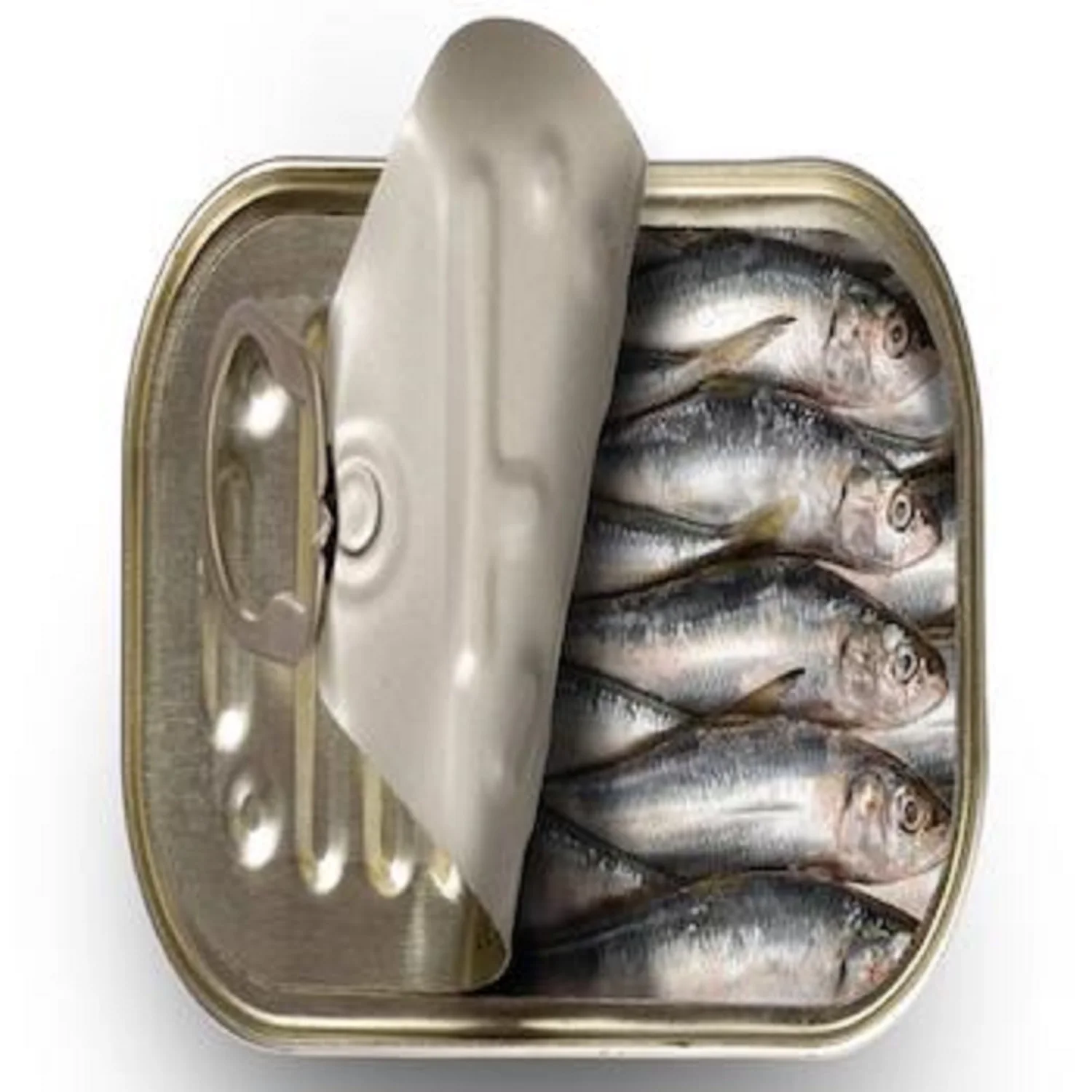 Buy Cheap price Canned Sardine in Vegetable Oil Sardine in chilli pepper