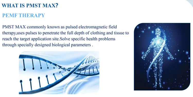 Pmst Max Pemf Magnetic Therapy Device Pmst Physiotherapy Magneto Therapy Pmst Max Health Care Equipment