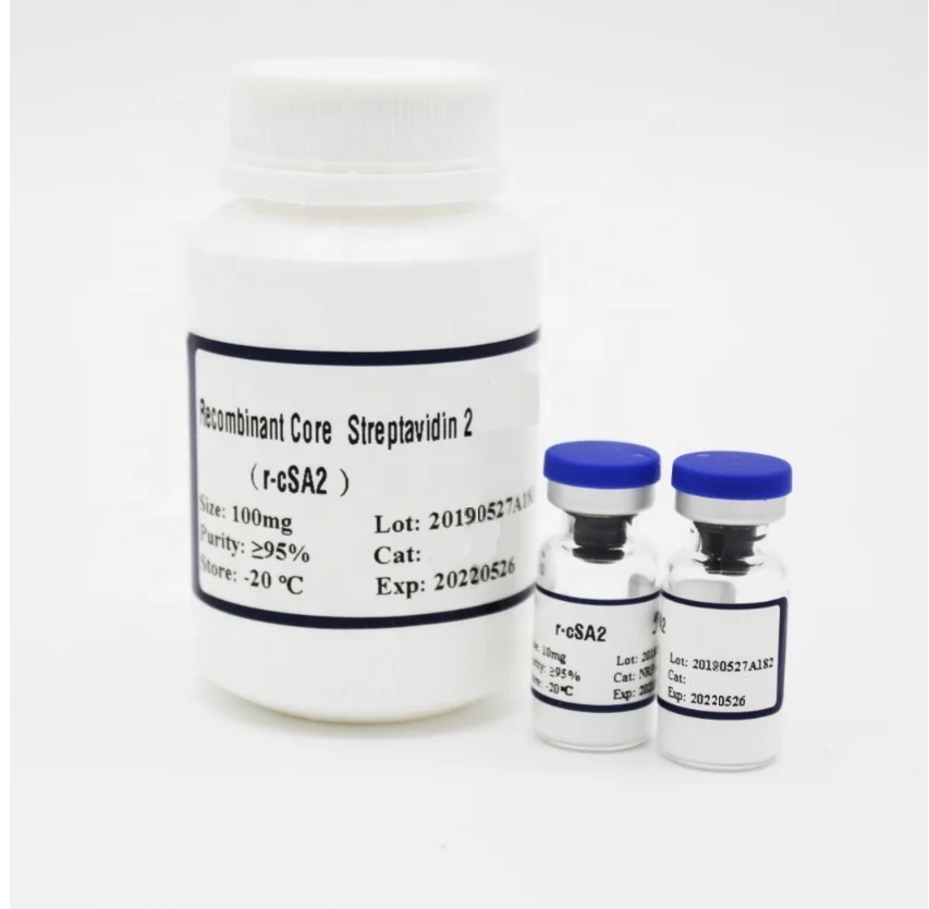 
Pharmaceutical Grade Streptavidin // rc-SA for research 