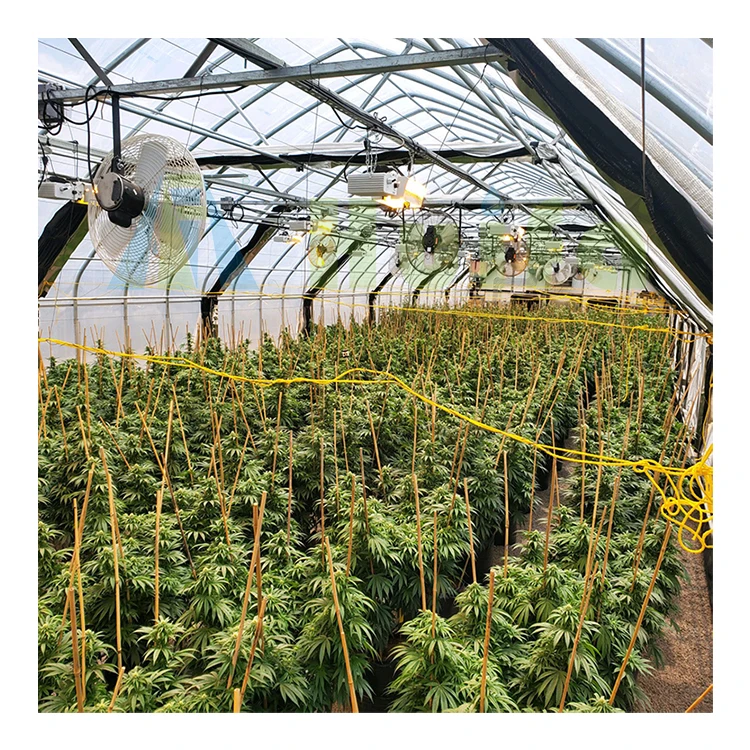 Hydroponic Hemp Growing System Blackout Light Deprivation Greenhouse Automated Light Dep Greenhouse