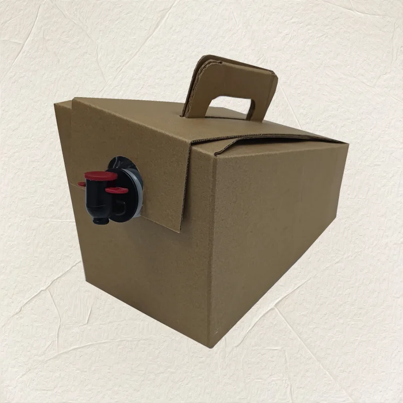 10L нагрудник в коробке для сока картонная коробка форме сумки