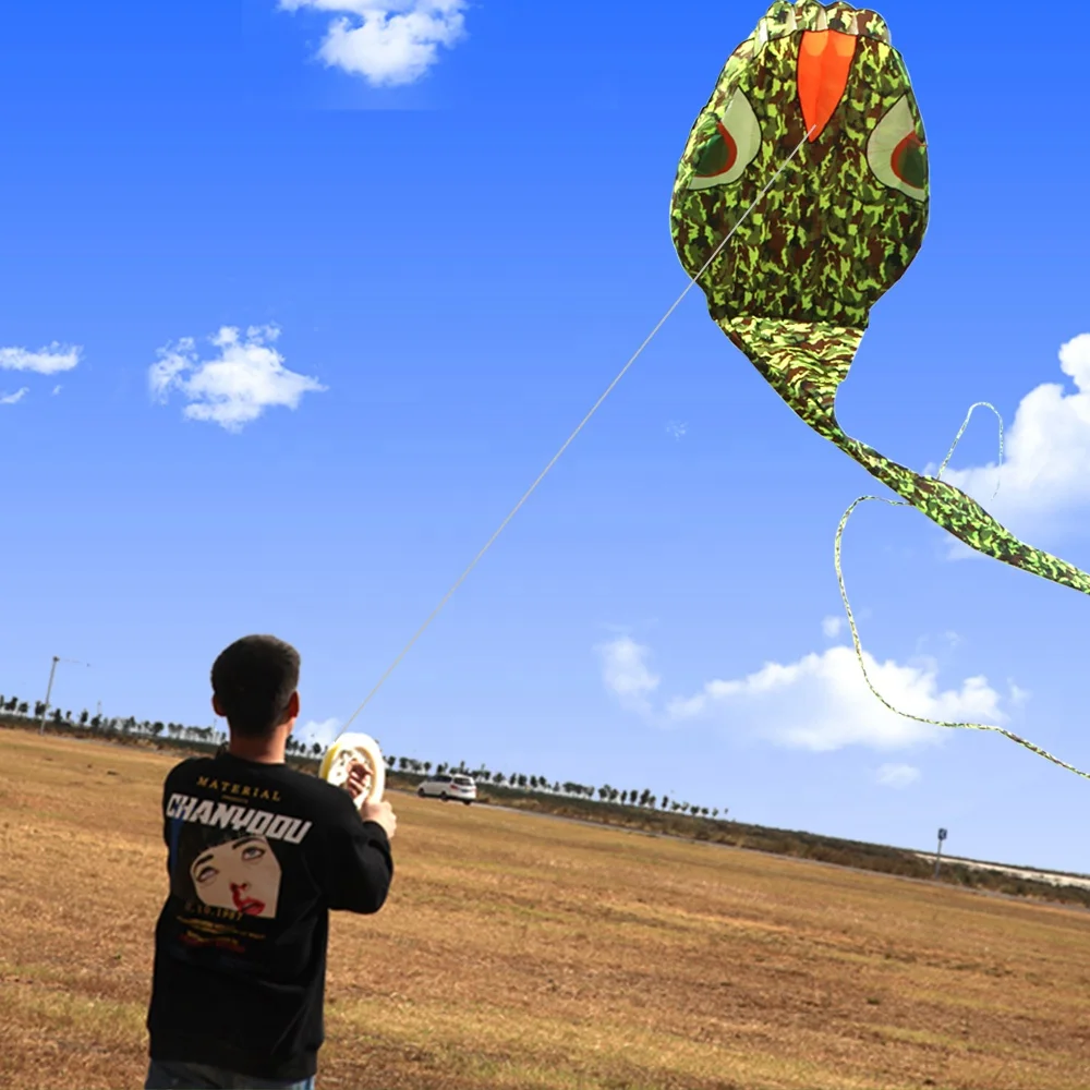 wholesale  large outdoor  flying snake power soft naish  long tail   animal  kite