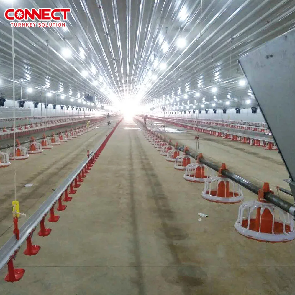 Automatic Industrial Poultry Egg Layer Breeder Broiler Farming Husbandry Raising Plant Line System for Chicken Farm Building