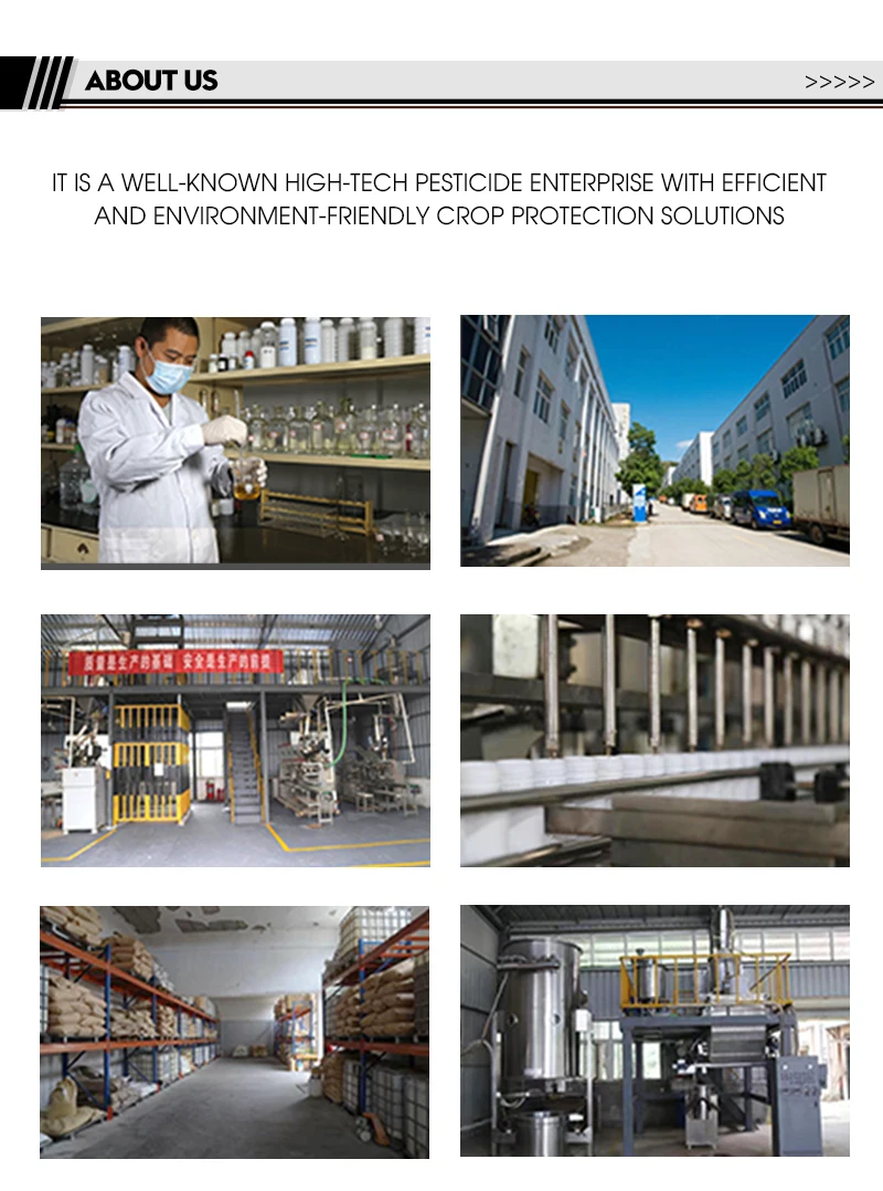 
15% clodinafop-methyl ME wheat field oats gramineous weed agricultural pesticide herbicide 