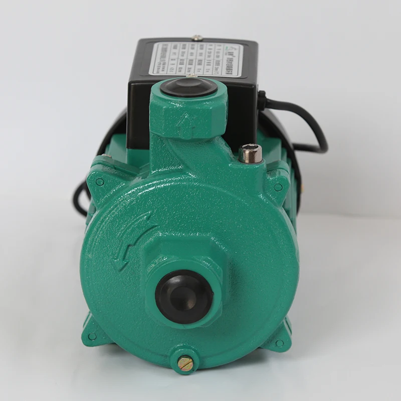 
0.12hp small pump RUD Series electric water pump price india 