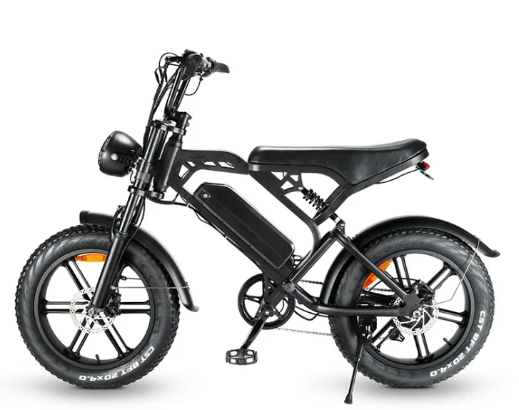 Cheap Chinese Factory Price Adult Fashion New Design Electric Bicycle Battery Electric Bicycle