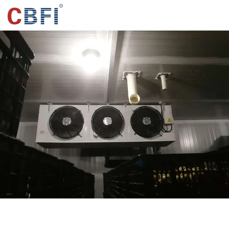 Big Storage Cold Room/Freezer Room for Logistics Market