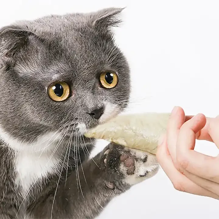 Best selling products 2024  cat wet food factory customization steamed chicken breast pet food