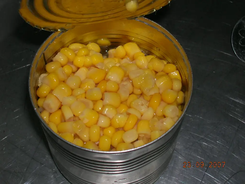  Новый Урожай консервированных сладких кукуруз 425mlx24tins на ливанском