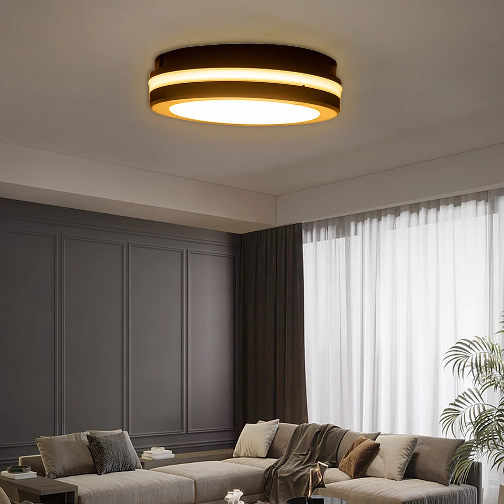Modern Cct 3000k-4000k-6500k China Round Decoration Living Room Adjustable Vintage Ceiling Light For Indoor