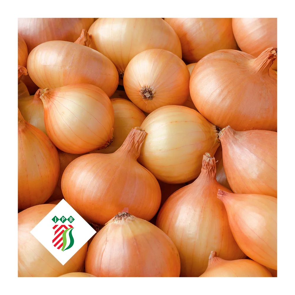 Свежий желтый лук Голландия Нидерланды для оптовой продажи частная марка Размеры 35 мм/50 мм от 5 до 25 кг сумки лучшее качество