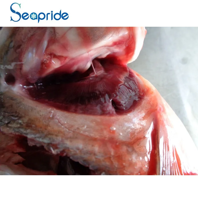 frozen silver pomfret