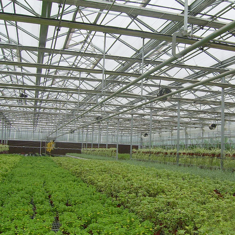 Long life multispan seeding nursery polycarbonate greenhouse