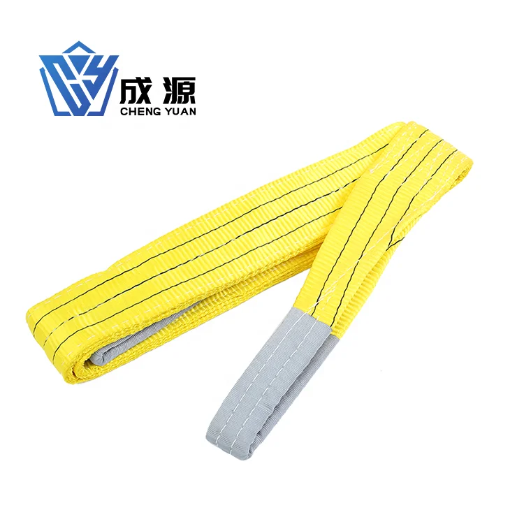 
Factory Hot Sale Polyester Double Eye Flat Webbing Sling Purple Yellow Green Red Color Safety flat webbing lifting sling 