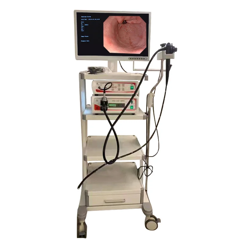 Portable USB/Tap C Endoscope System Electric Medical Equipment Video Ureteroscope for Surgical Instruments