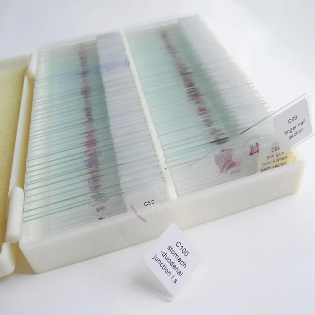 Fixed 100 Items Different Prepared Microscope Histology Slides Set