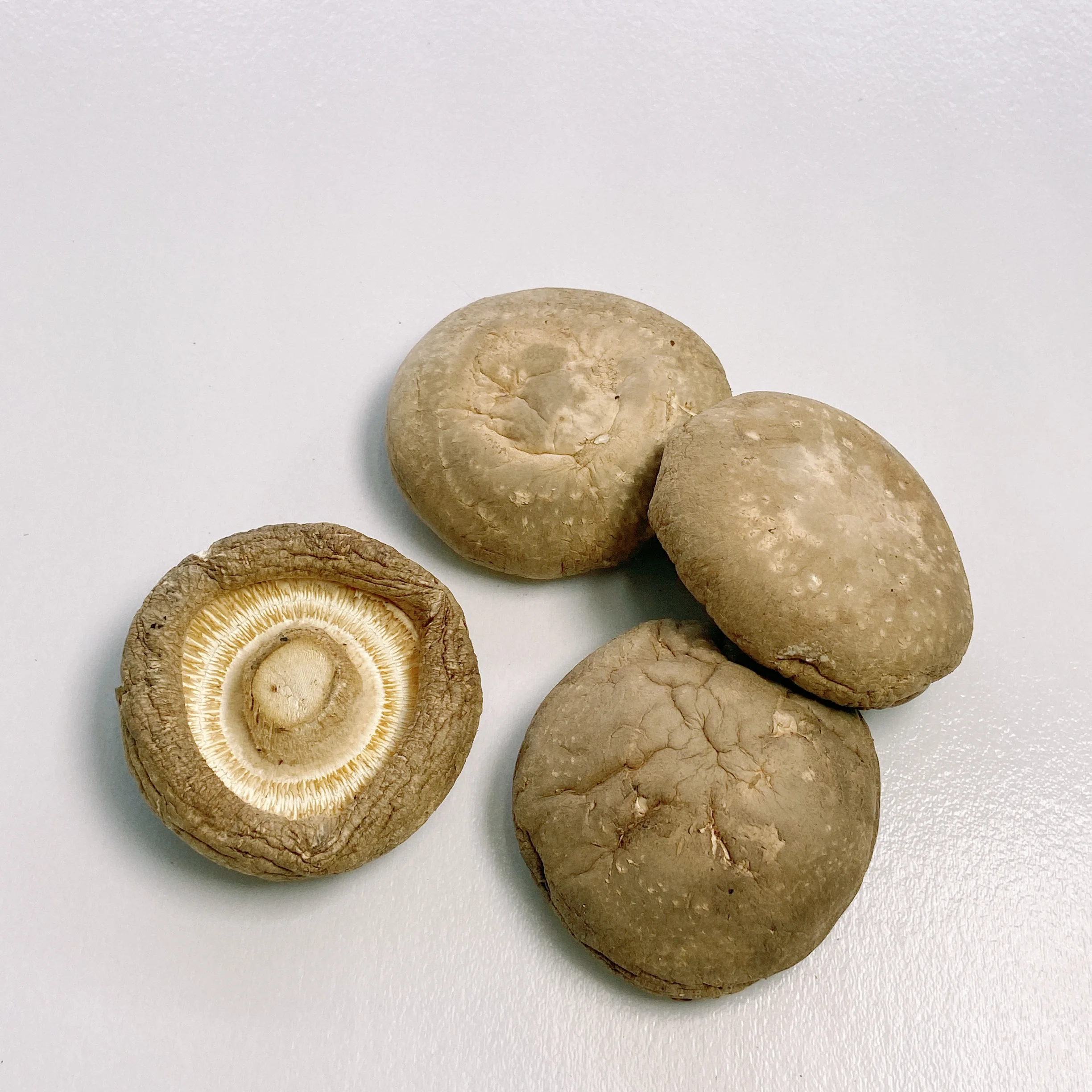 Good Taste Dryer Mushrooms Organic Shiitake Dry Mushrooms Buyers