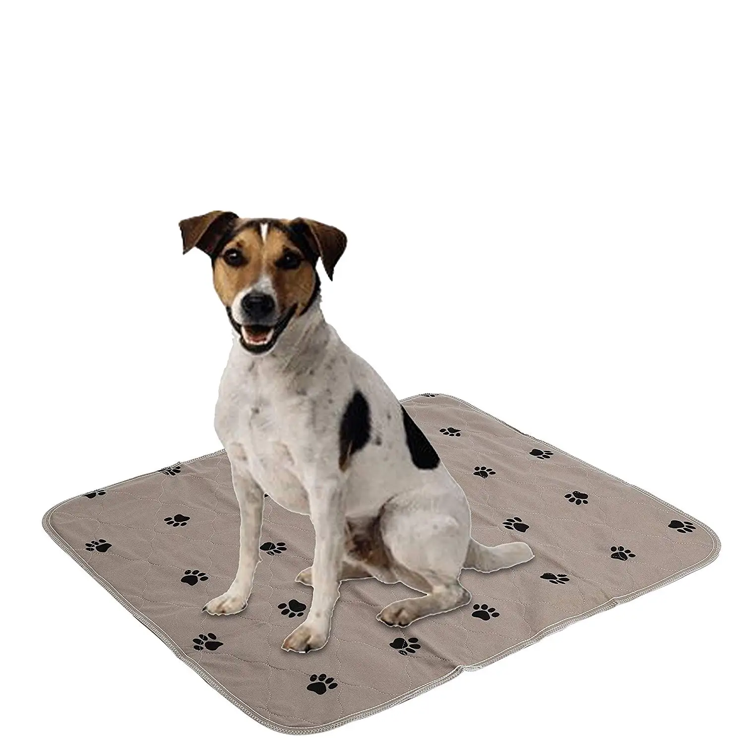 waterproof pet mat.jpg