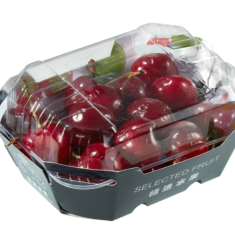 Custom Printing biodegradable Disposable cardboard packaging PET lid fruit plastic paper packaging box fruit Tray