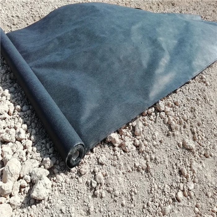 Best price of Spunbonded PP non woven fabric for Agriculture cover weed control landscape cover garden cover