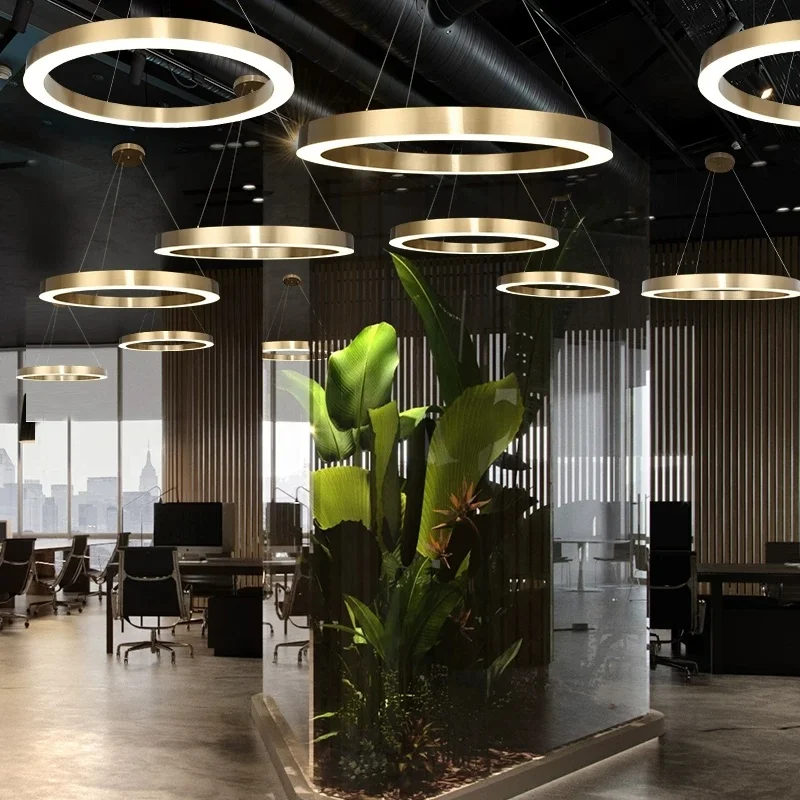 Mean Well DALI Dimmable LED Chandelier Modern Circle Pendant Lamp for Home Office Hotel Store Popular Lighting Design