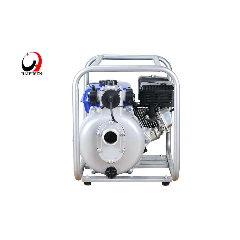 Hot Selling Cheap Custom Cast Iron Gasoline Pump 170F7HP Engine 208ccGasoline Fire Pump