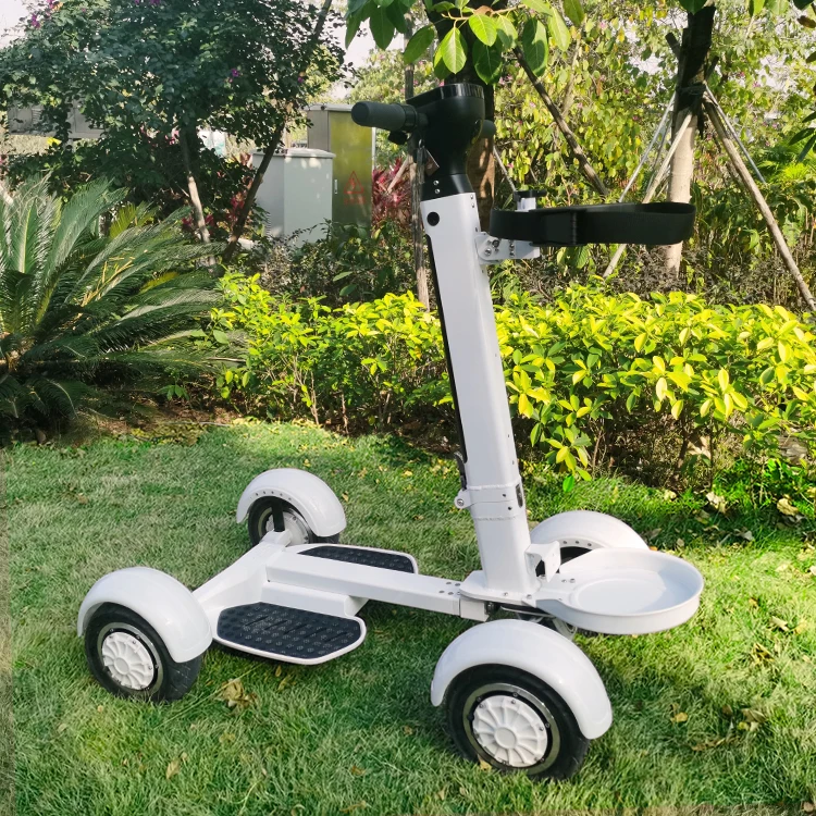 China battery golf cart bodies electric beach cart electric bicycle 3000w S6 golf electric cart  Golf board